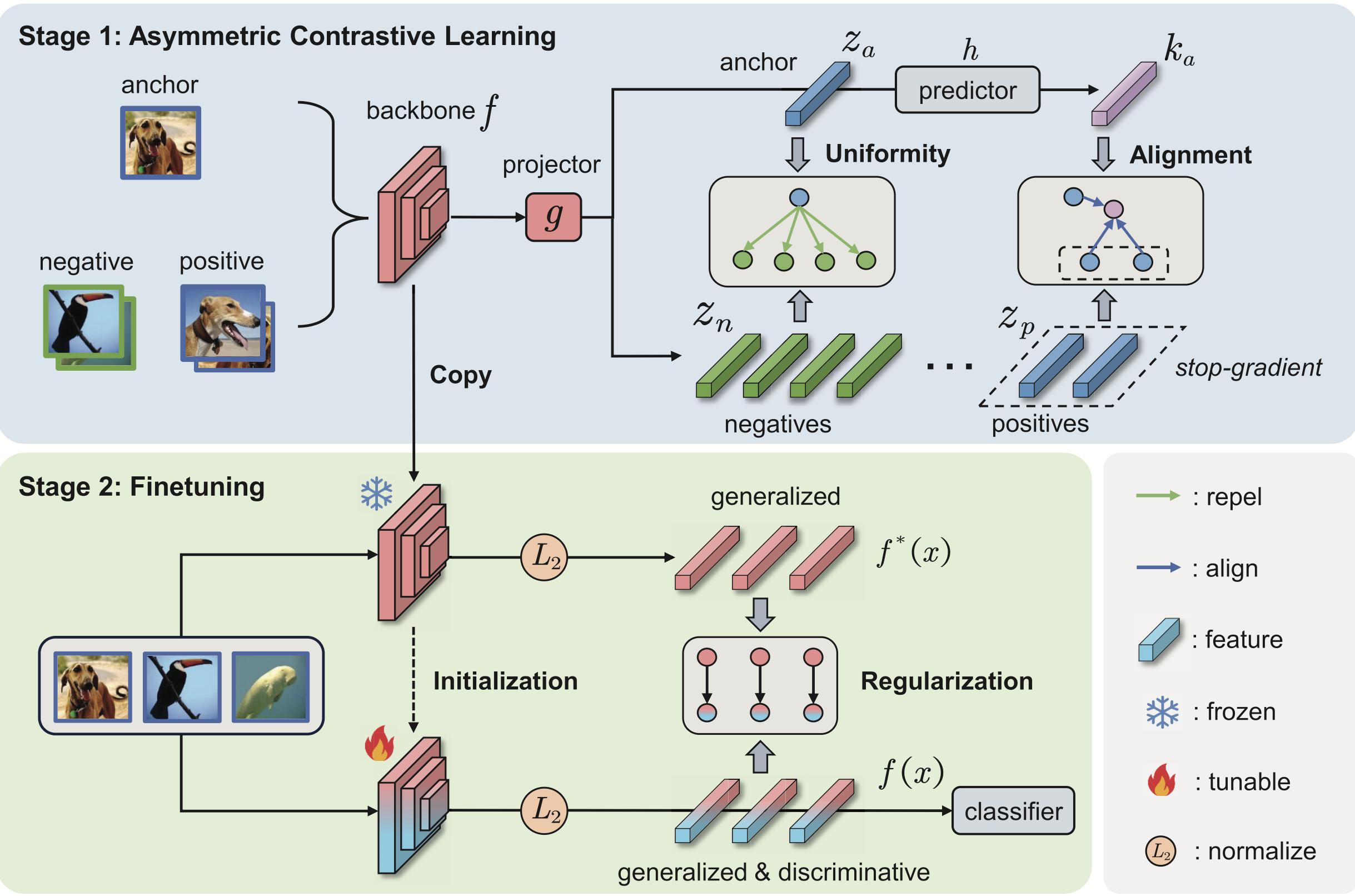 Few-Shot Class-Incremental Learning via Asymmetric Supervised Contrastive Learning